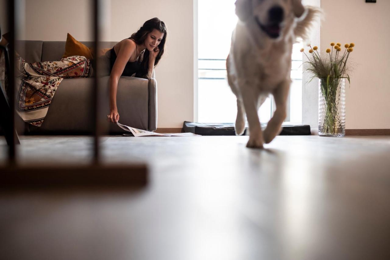 Sambucus Apartments -Premium Apartments For You And Your Dog Lana Exterior foto